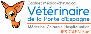 Vétérinaire IFS Caen sud Porte d'Espagne - Cabinet médico-chirurgical - Médecine Chirurgie Vaccination Stérilisation Hospitalisation pour chien chat lapin - Urgences sur appel préalable